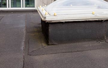 disadvantages of Tyddyn Angharad flat roofs