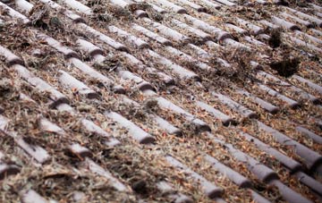 Tyddyn Angharad roof cleaning companies